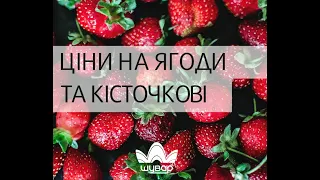 Ціни на ягоди та кісточкові на ринку "Шувар", 11.06.20