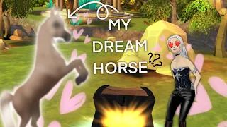 OPENING CLUB CHESTS #12 got my dream horse? || Horse riding tales