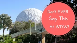 Things You Should Never Say At Walt Disney World