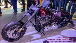 Harley-Davidson Best Custom Motorcycle Fair in Zurich Part 1 (Swiss Moto 2019)