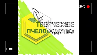 Формирование отводков для усиления основных семей на главный взяток.