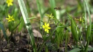 Прогноз погоди на вікенд 19-24 березня / Хмельницька область