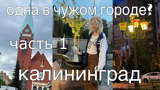 УЛЕТЕЛА В КАЛИНИНГРАД | осталась без жилья | отпуск, море и новые знакомства