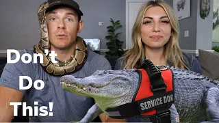 The problematic "Emotional Support Alligator" - Our unfiltered thoughts.