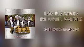 Los Pistones De Uriel Valdez-Soldado Blanco (En Vivo)