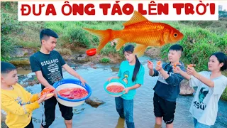 DTVN Vlog : (Tập 139) Bài học nhớ đời cho kẻ giám bắt nạt trẻ trâu( ĐẠI CHIẾN CÁ VÀNG ÔNG TÁO )