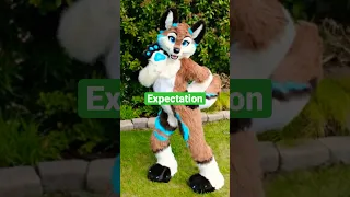 Expectation vs reality! #Fursuit #Truth #Scam #Like #subscribe#comment #Scamsuit