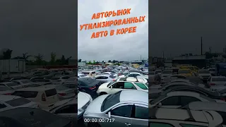 Как купить авто дешевле: Утилизированные автомобили в Корее! #авто #корея #утиль