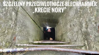 SZCZELINY PRZECIWLOTNICZE BLECHHAMMER "KRECIE NORY"