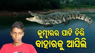 Brave boy from Kendrapara narrates his confrontation with crocodile