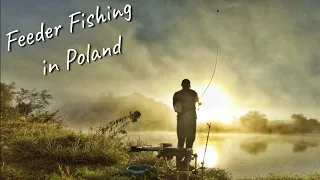 Особенности Рыбалки в Польше / Лицензия / Стоимость / Клёв