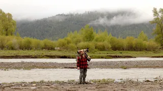 Finding Bison, Coyotes, and Anxiety in Yellowstone | Wildlife Photography + Boondocking