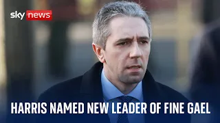 Simon Harris confirmed as new leader of Fine Gael