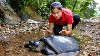 Harvesting CARNIVOROUS TURTLE - 2 Years Alone in Forest