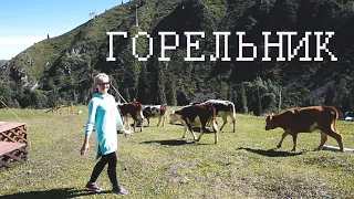 Горельник,кафе APA KATYA,лестница здоровья  842 ступеней/ALMATY VLOG