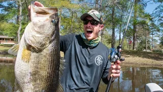 GIANT BASS FOUND in MUDDY CREEK! BED FISHING with JIGS