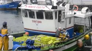 Pesca del Verdel en el Nuevo Monte Cueto, Santoña