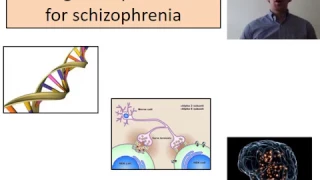 Schizophrenia Biological explanations