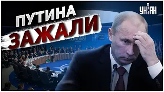 Путин зажат в угол и понял, что обречен - Пионтковский