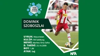 Dominik Szoboszlai - Long Pass & Dribbling & Assists & Goals 2019