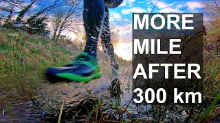 Review of More Mile budget trail shoes (£35) after 200 miles