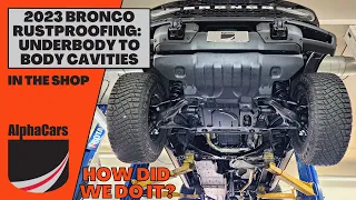 Rustproofing a New Ford Bronco Wildtrak Sasquatch: From Underbody to Body Cavities