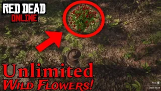 🤯EASIEST!🤯 *SOLO* MONEY & XP GLITCH IN RED DEAD ONLINE! (PS5 & XBOX)