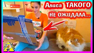 РАСПАКОВКА ПОСЫЛКИ ИЗ КАЗАНИ / ЧТО НАМ ПРИСЛАЛИ? / АЛИСА ИЗИ ПЕТС