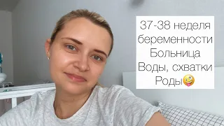 37 - 38 неделя беременности. Больница, высокое давление. Воды, схватки, роды.