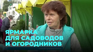 Ярмарка для садоводов и огородников открылась в Новосибирске