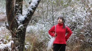 【二米炊烟】Sweet wild fruit in the snow. 雪地裡撿到的野果，製作成紅糖——真甜