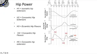 Sagittal Plane Hip Control