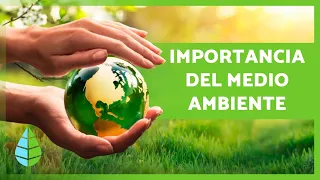 La IMPORTANCIA de CUIDAR el MEDIO AMBIENTE 🌏🌿