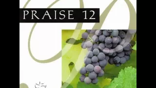 PRAISE 12 - INSTRUMENTAL [FLAC]