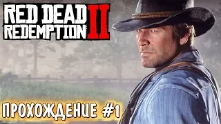 RED DEAD REDEMPTION 2 ВЫШЕЛ НА ПК! - 1440р ПРОХОЖДЕНИЕ - ЧАСТЬ 1. RDR 2 СТРИМ