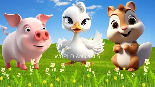 Happy Animal Moments, Familiar Animal Sounds: Pig, Duck, Chipmunk - Animal Videos