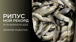 Рыбалка на рипуса февраль 2023 на челябинских озёрах, озеро Увильды, зимняя рыбалка с автоматом