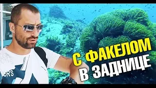 Самый лучший дайвинг и подводный мир острова Ко Тао. Очень много дайверов. Подводная съемка