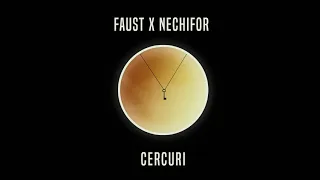 Faust x Nechifor - Cercuri