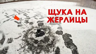 Рыбалка на ЖЕРЛИЦЫ | Ловля щуки на ТОРФЯНИКАХ