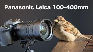 Panasonic Leica 100-400mm