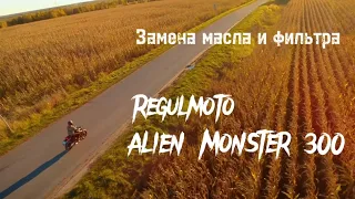 Замена масла и фильтра. Regulmoto Alien Monster 300 ABS. Быстро и по делу