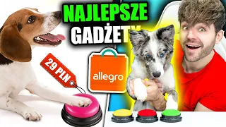 Testujemy GADŻETY DLA ZWIERZĄT z Allegro! *poznajcie Blue*