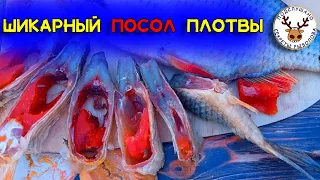 Вяленая плотва 👍 Как вкусно засолить плотву 👍 Пальцы не откусите 👍 На голодный желудок не смотреть