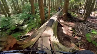 CBC trail mount Seymour