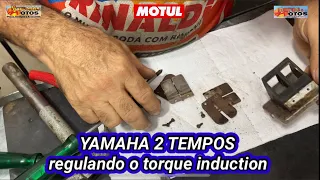 COMO REGULAR O TORQUE DA YAMAHA 2T - pirâmide RD 125