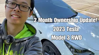 Two Month Ownership Update On My 2023 Tesla Model 3 RWD w/ LFP!