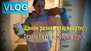 ОТДАЮ ЩЕНКА В ДОБРЫЕ РУКИ VLOG ОБЗОР ПОКУПОК