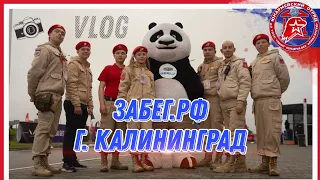 «ЗаБЕГ. РФ» в городе Калининграде / Юнармия в кадре// Юнармейский влог//