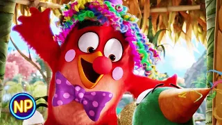 Opening Scene HD | The Angry Birds Movie